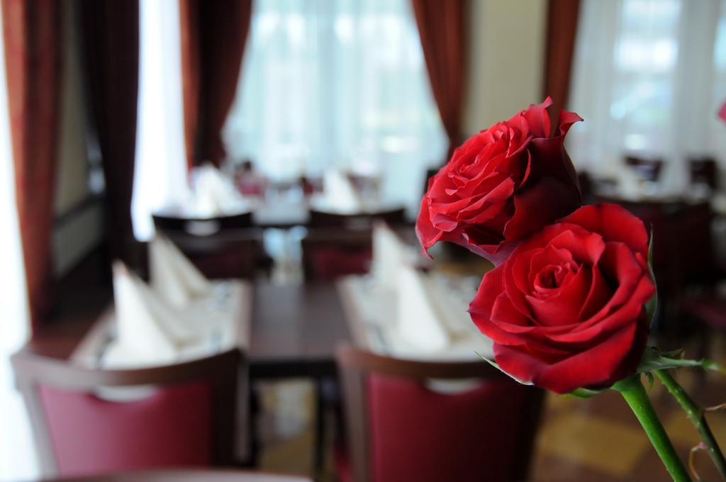 Hotel Dei Platani リミニ エクステリア 写真