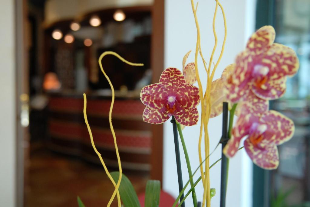 Hotel Dei Platani リミニ エクステリア 写真