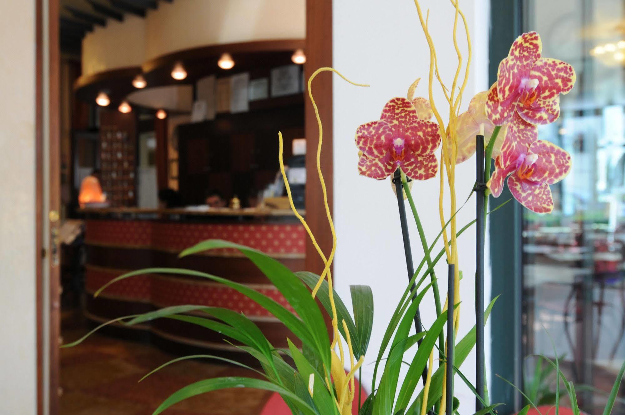 Hotel Dei Platani リミニ エクステリア 写真